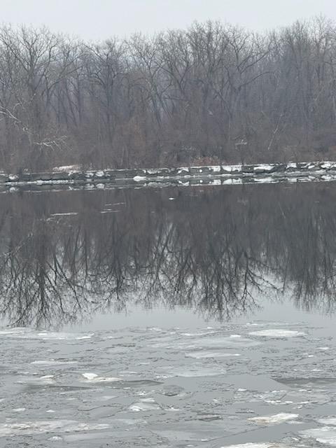 A snowy river flows along a ltreed riverbank beneath a gray sky.