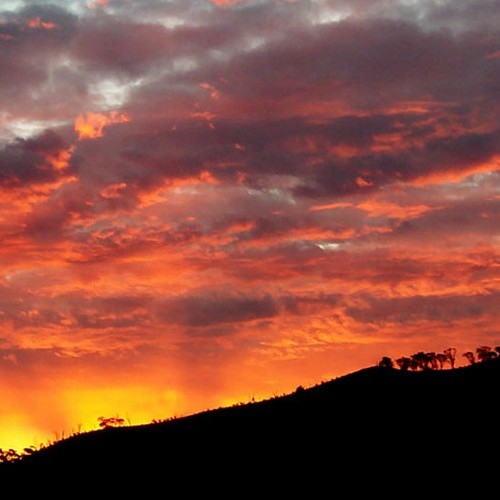 Red Sunset
