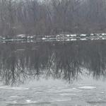 A snowy river flows along a ltreed riverbank beneath a gray sky.